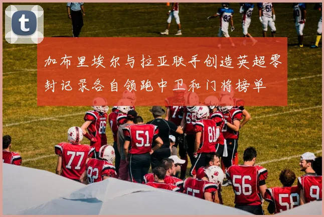 加布里埃尔与拉亚联手创造英超零封记录各自领跑中卫和门将榜单