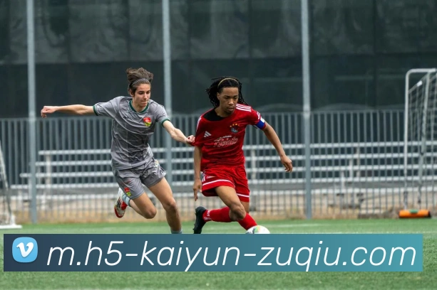 开云足球APP 高清赛事图